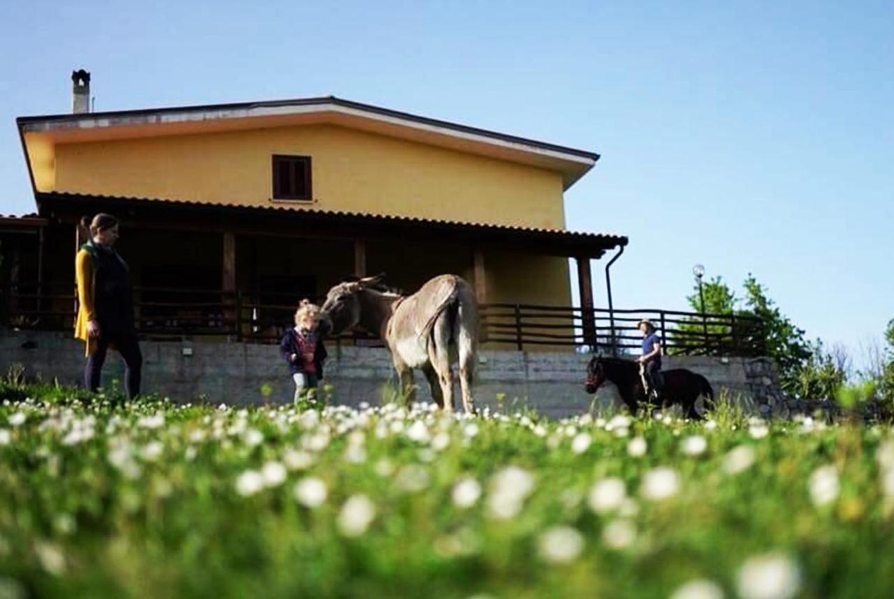 Il Rifugio Del Contadino Art & Nature Bosco  エクステリア 写真