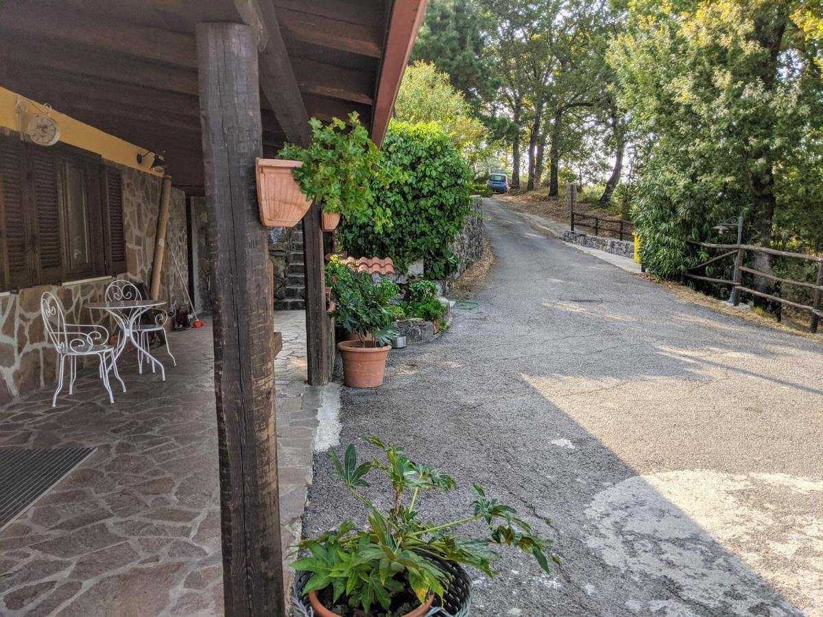 Il Rifugio Del Contadino Art & Nature Bosco  エクステリア 写真