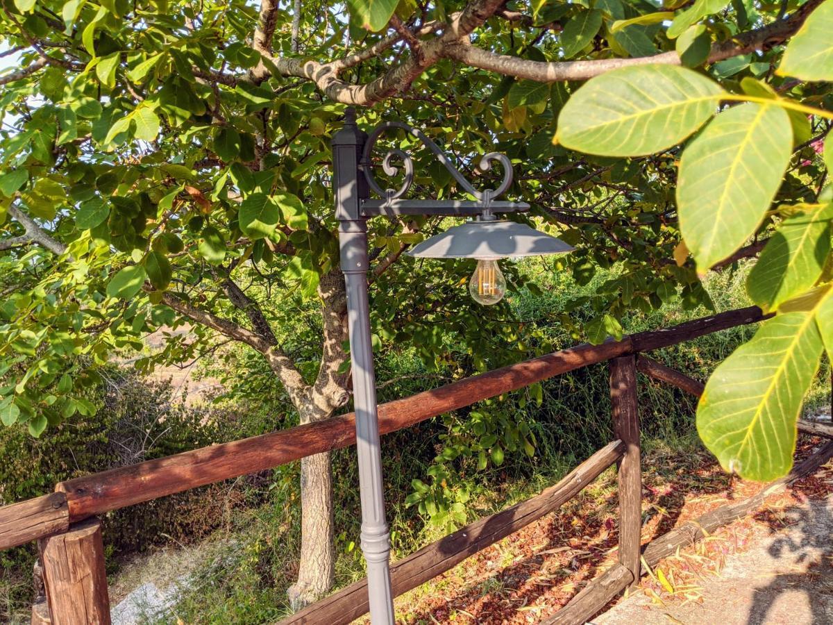 Il Rifugio Del Contadino Art & Nature Bosco  エクステリア 写真