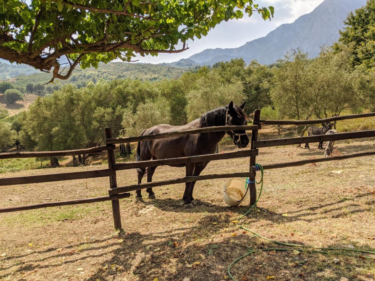 Il Rifugio Del Contadino Art & Nature Bosco  エクステリア 写真