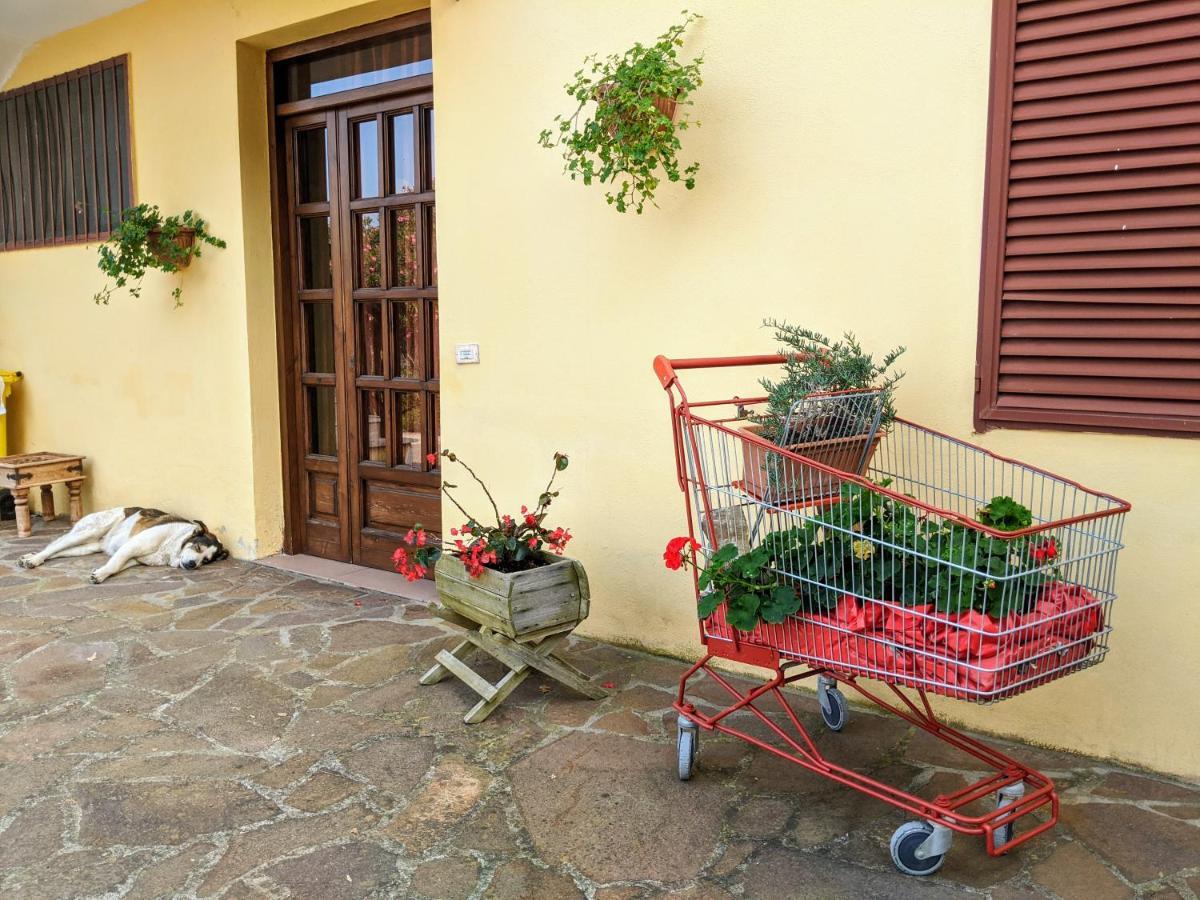 Il Rifugio Del Contadino Art & Nature Bosco  エクステリア 写真