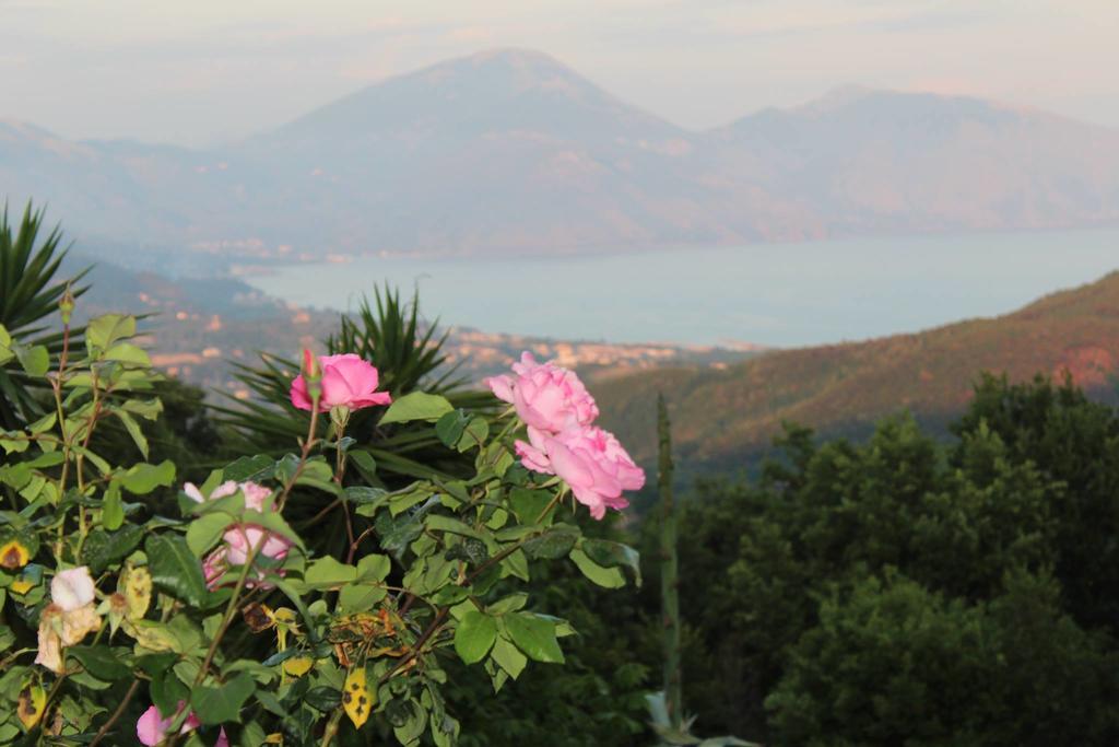Il Rifugio Del Contadino Art & Nature Bosco  エクステリア 写真