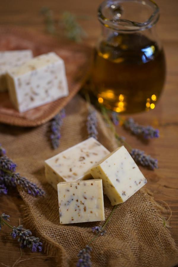 Il Rifugio Del Contadino Art & Nature Bosco  エクステリア 写真