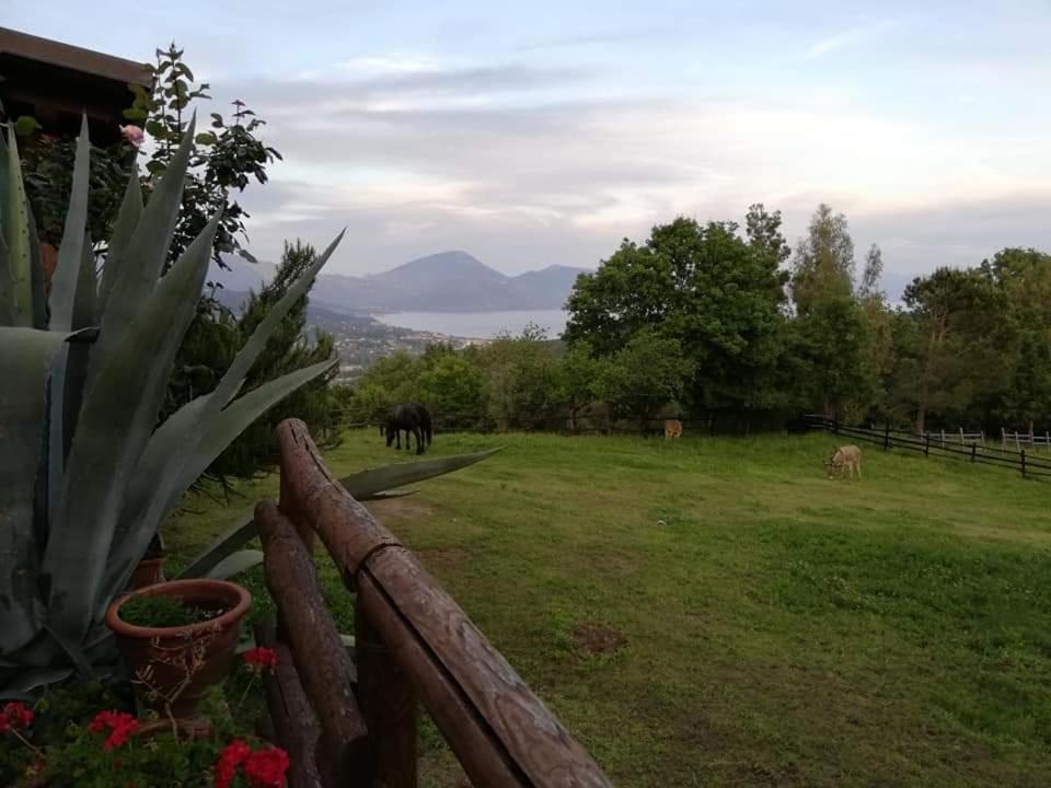Il Rifugio Del Contadino Art & Nature Bosco  エクステリア 写真